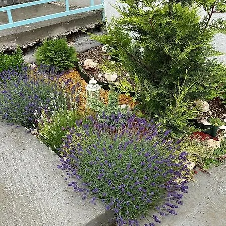 Turquoise * 旧瓦马